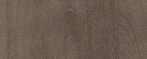 Alder Charcoal