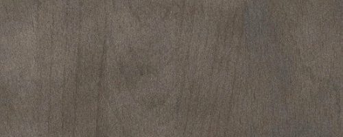 Beech Charcoal